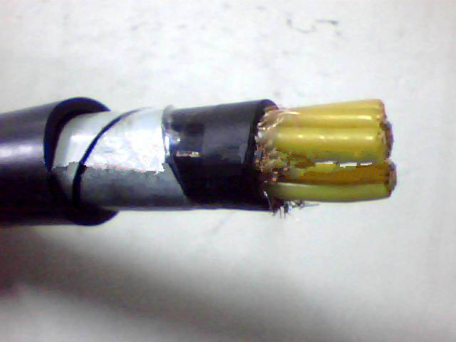 控制電纜KVV22_電線電纜欄目